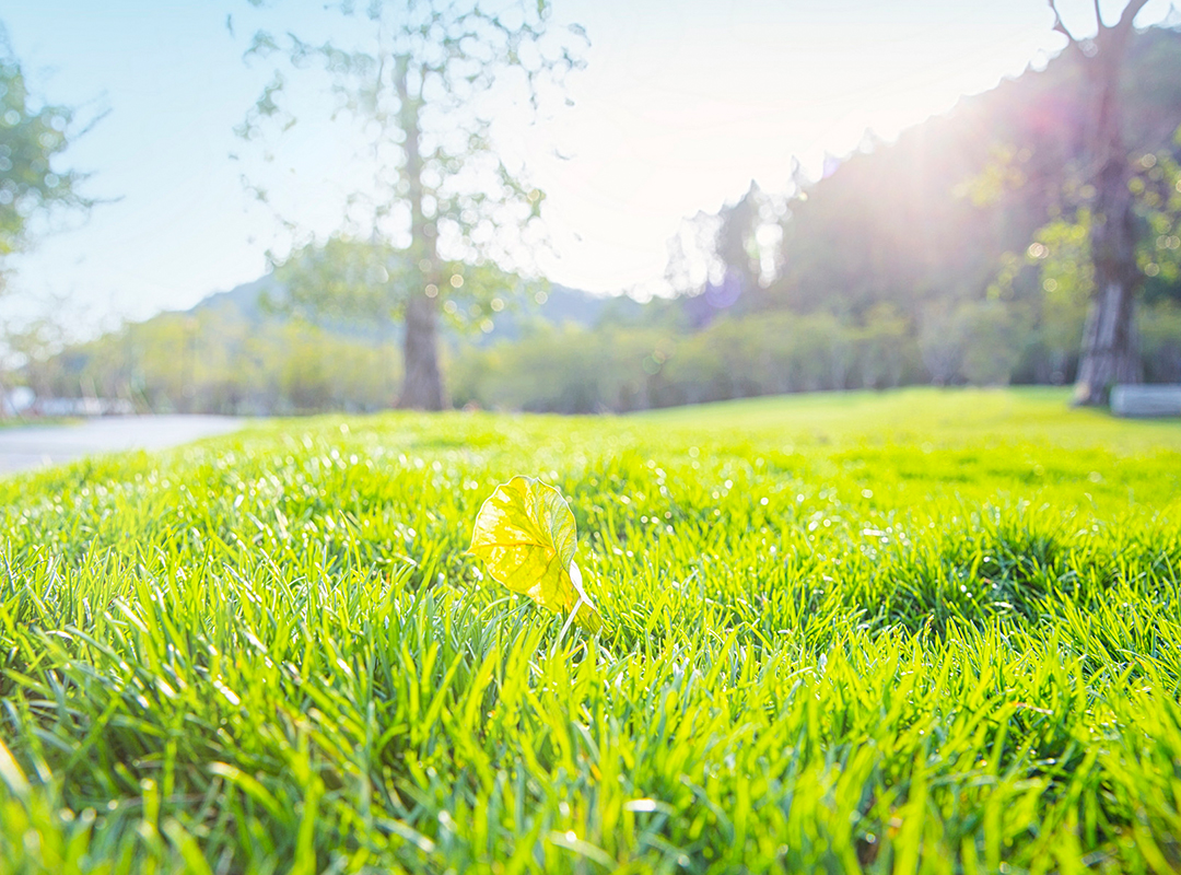 1657094096159583.jpg 4.jpg